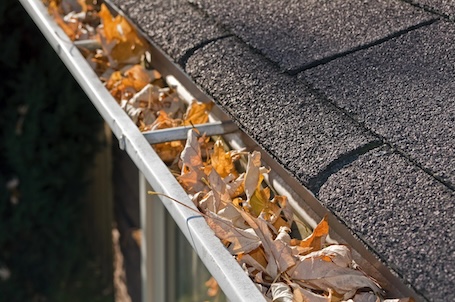 How Often Should You Clean Your Gutters in New Jersey?